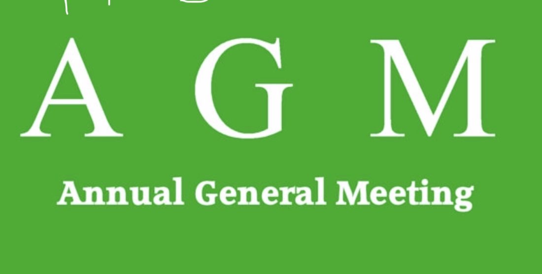 AGM – 2019 Minutes